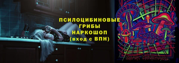 гидропоника Алзамай