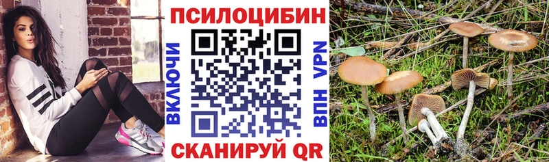 Галлюциногенные грибы ЛСД  Богучар 