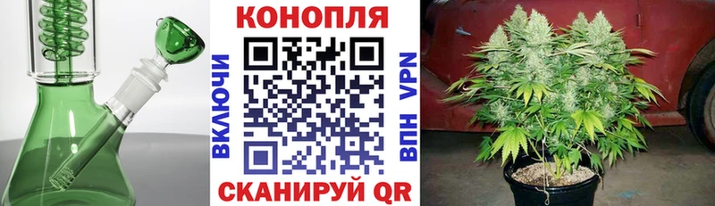 даркнет наркотические препараты Богучар Шишки марихуана OG Kush где найти наркотики гидра